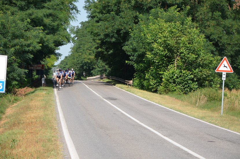 DSC_0126 (2)
